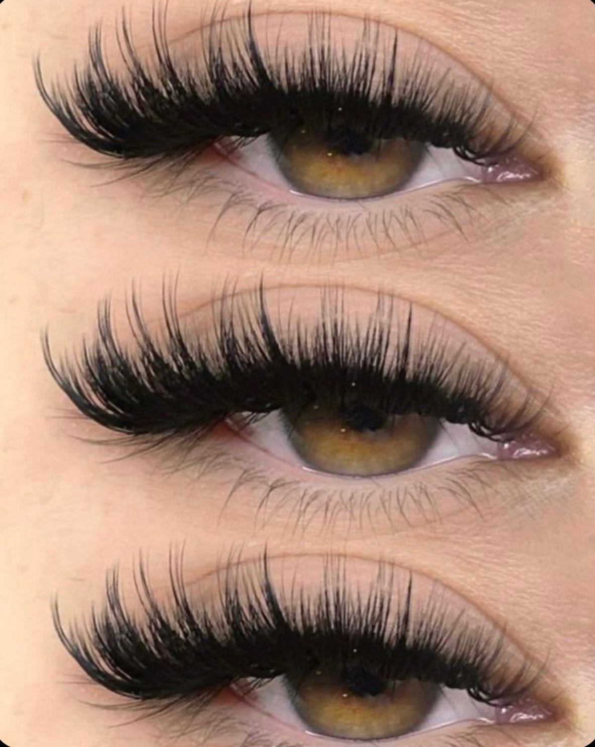 HoneyLashes™ — Soft • Doll • Fierce